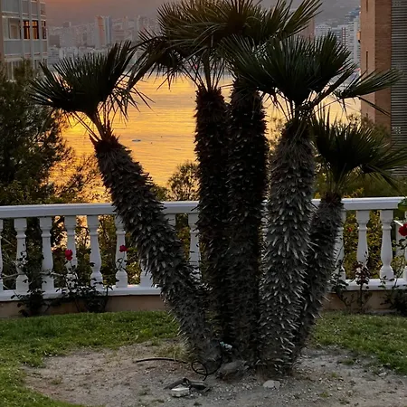 아파트 Blue Big Lagoon Trinisol2 베니돔