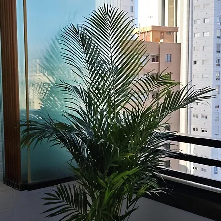 Blue Big Lagoon Trinisol2 Benidorm