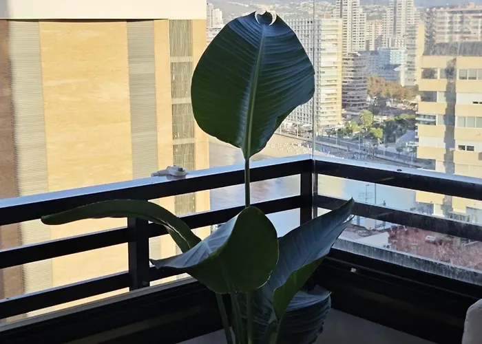 Blue Big Lagoon Trinisol2