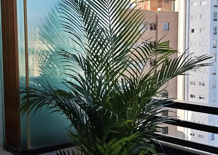 Blue Big Lagoon Trinisol2 Benidorm